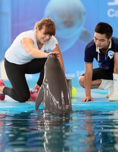 这次与广东 这次与广东