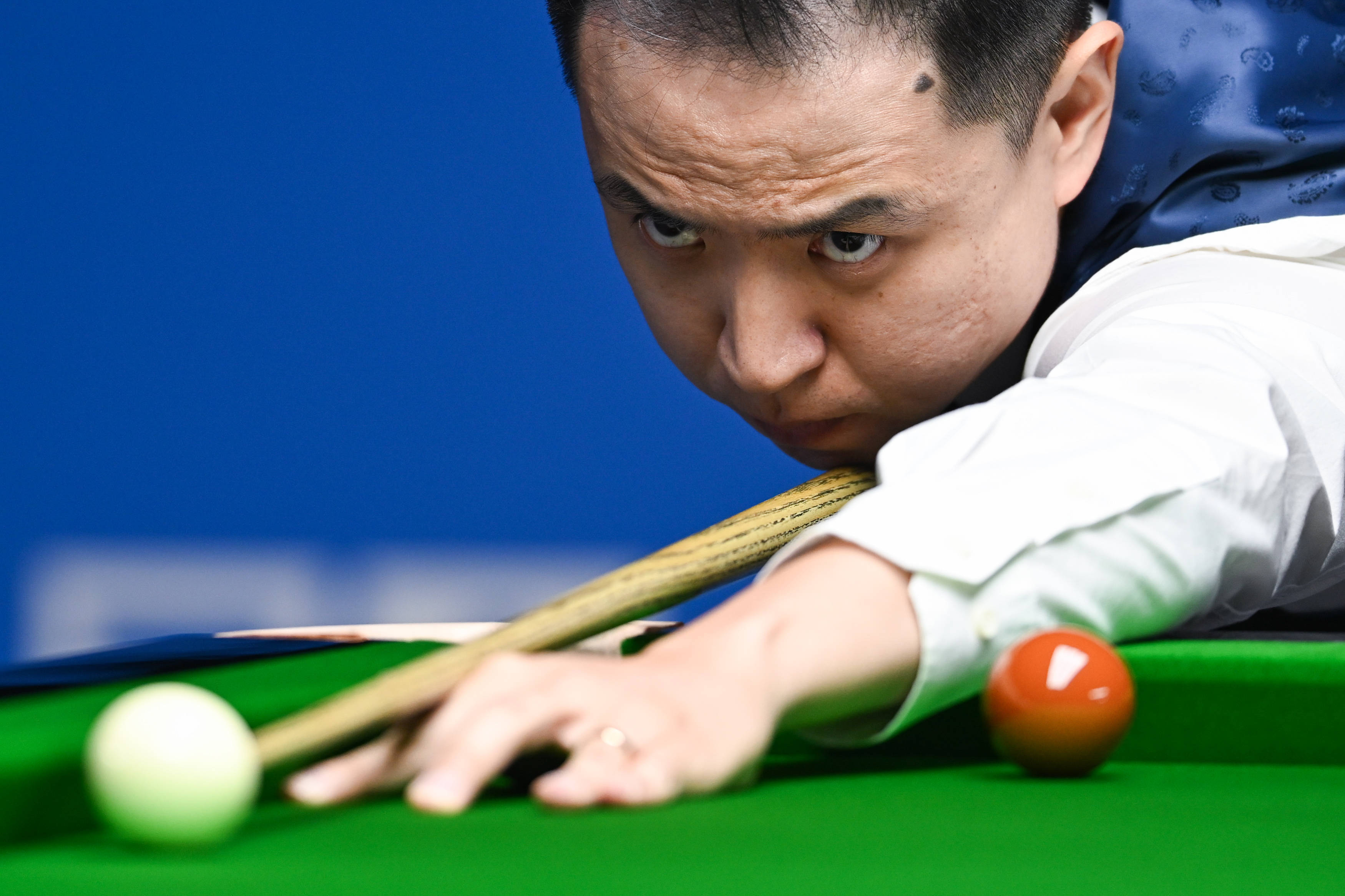 迷的互动 迷的互动